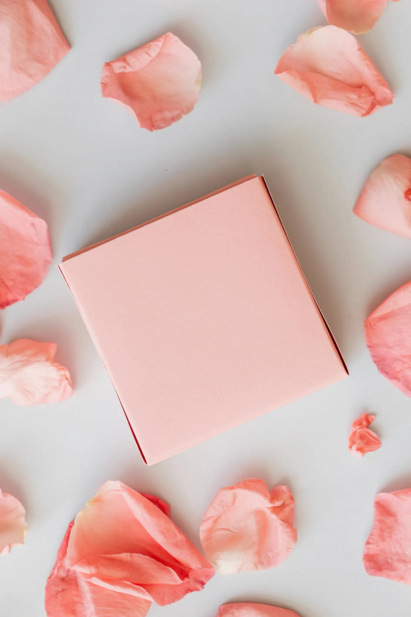 Editorial gift box styling in soft blush tones